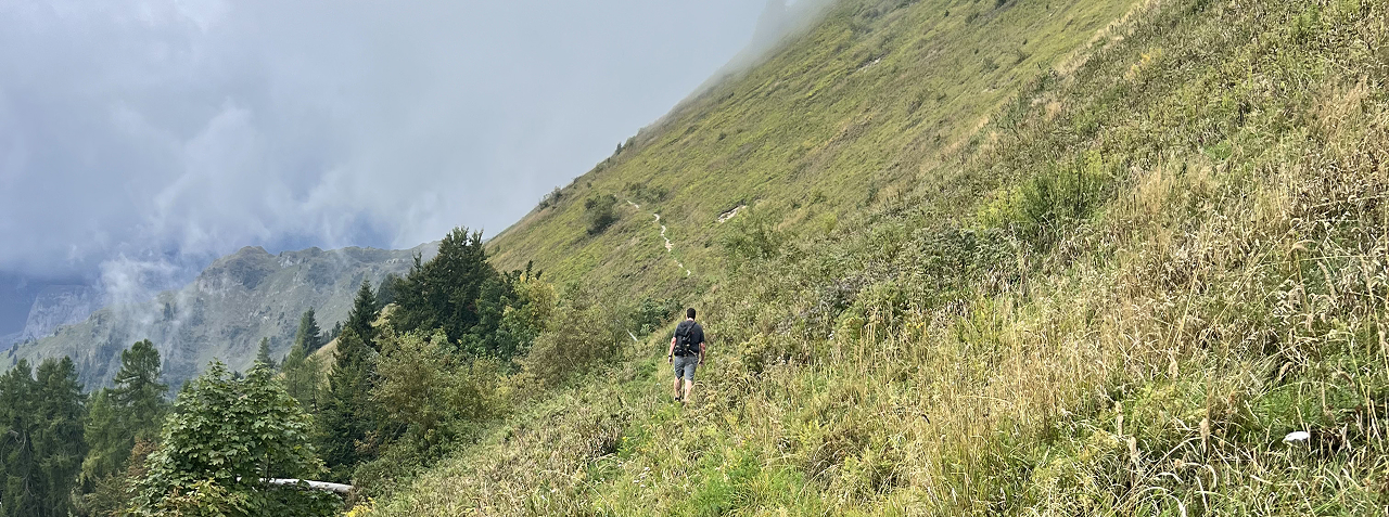 Eine männliche Person geht an einem Berghang in der Wiese entlang. Links sind weitere Bäume und ein Ausblick in die Ferne zu sehen.