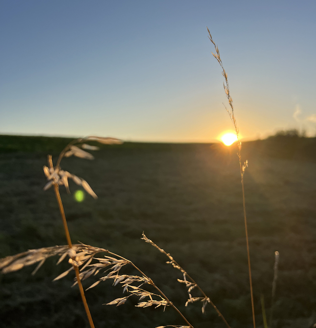 Ausblick auf den Sonnenuntergang